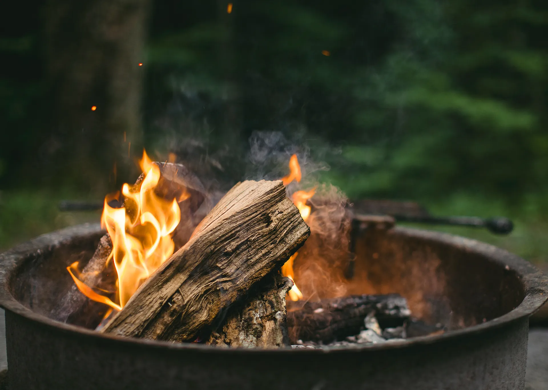 best bonfire wood