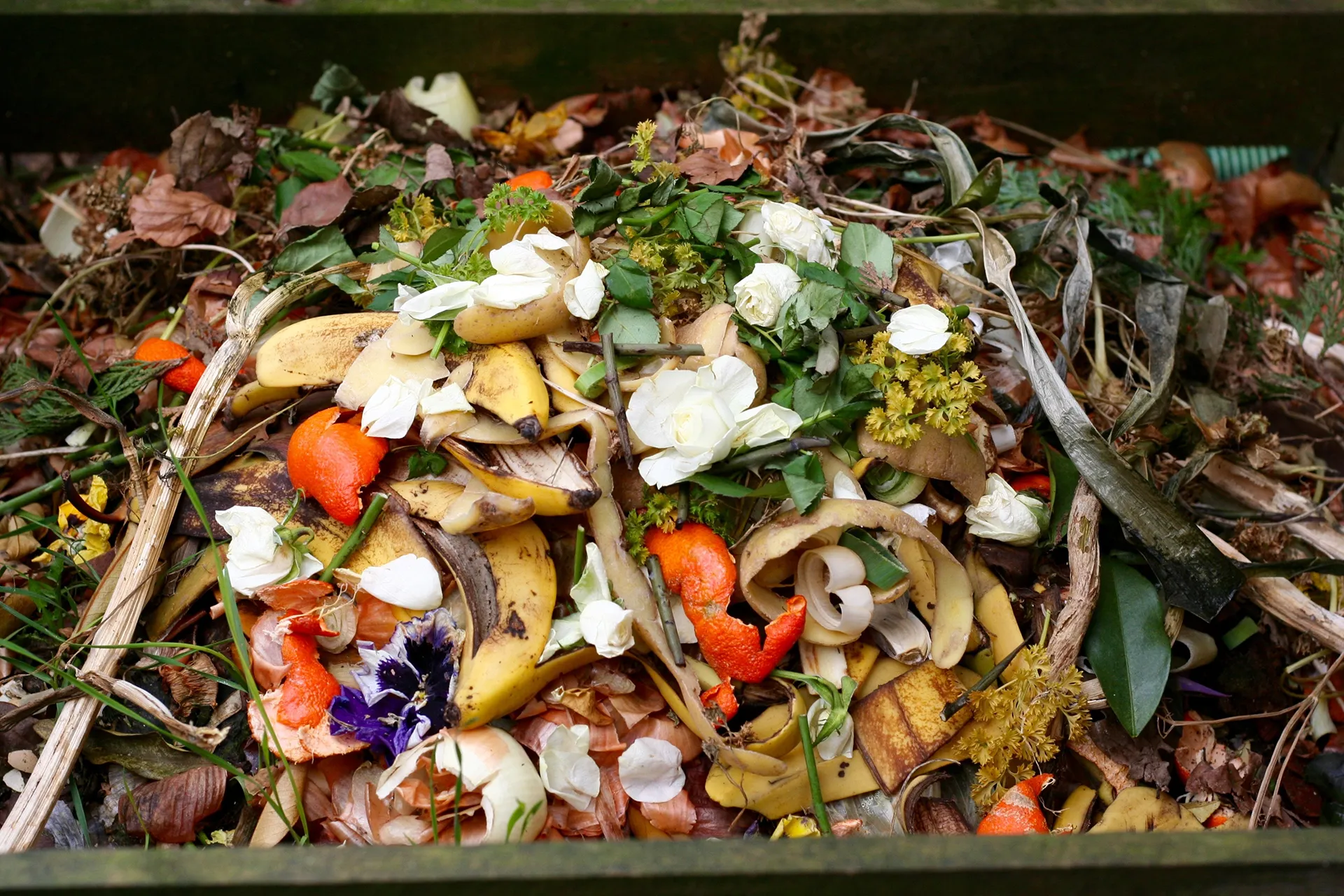 food waste & recycling collections