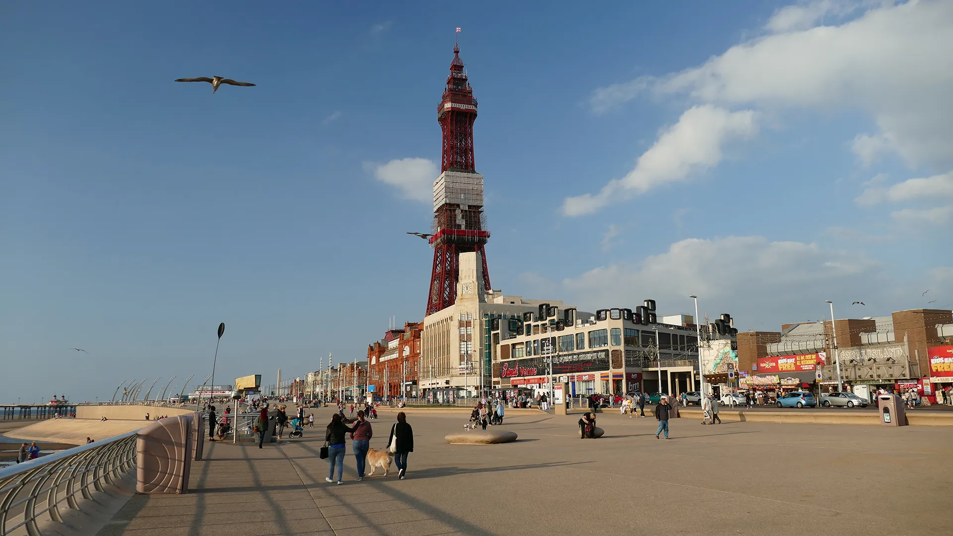 waste management in blackpool and fylde