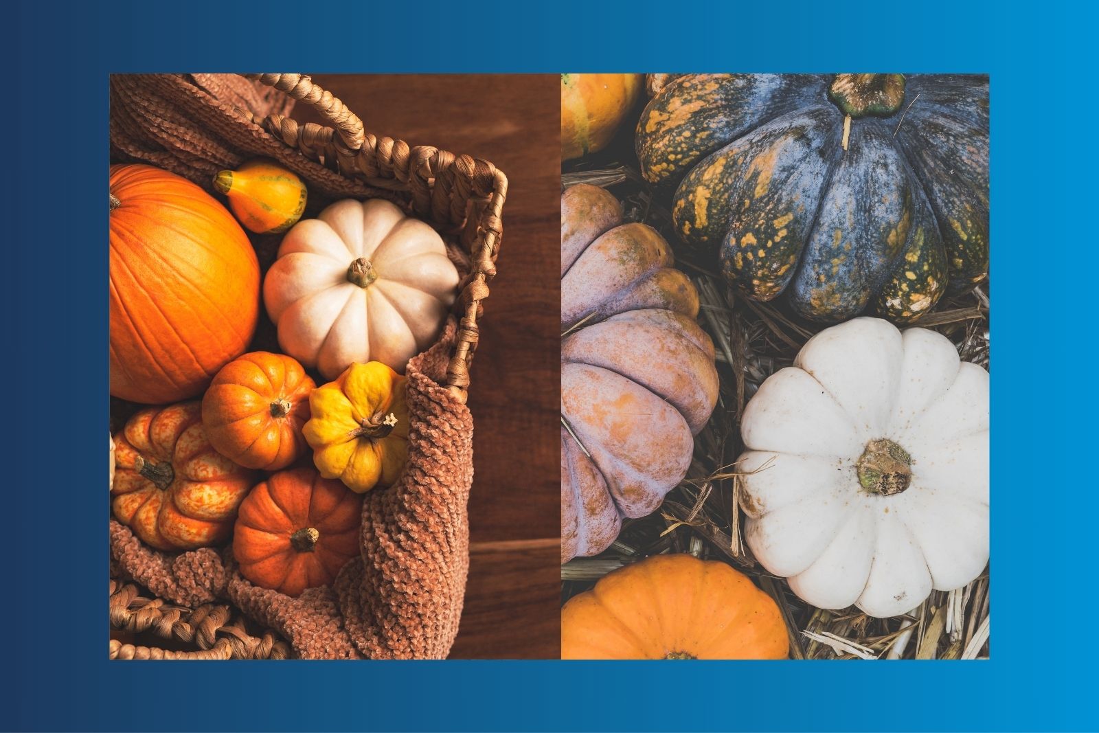 recycling your pumpkins