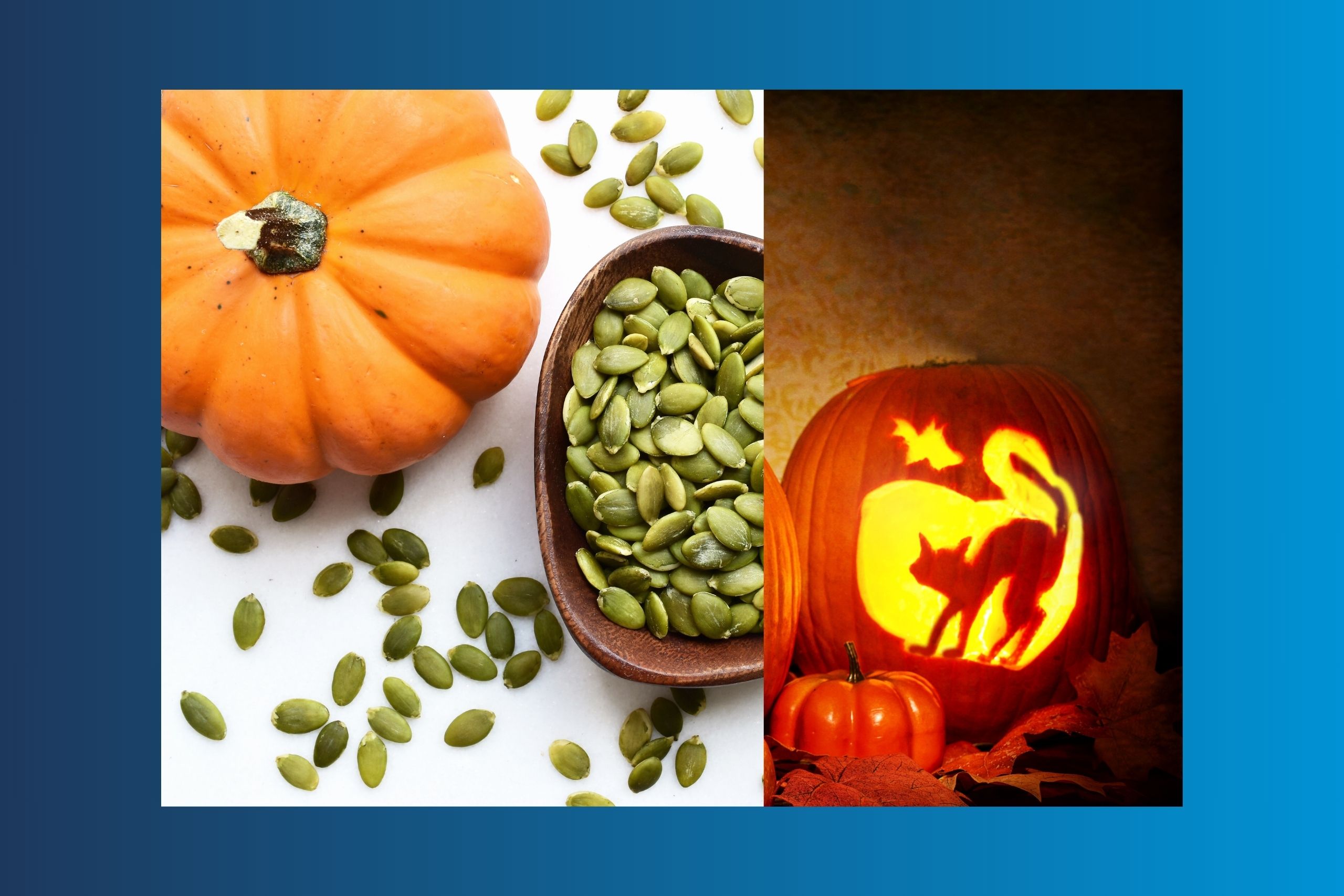 recycling your pumpkins