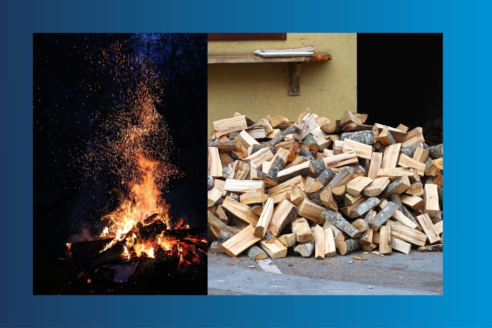 best bonfire wood