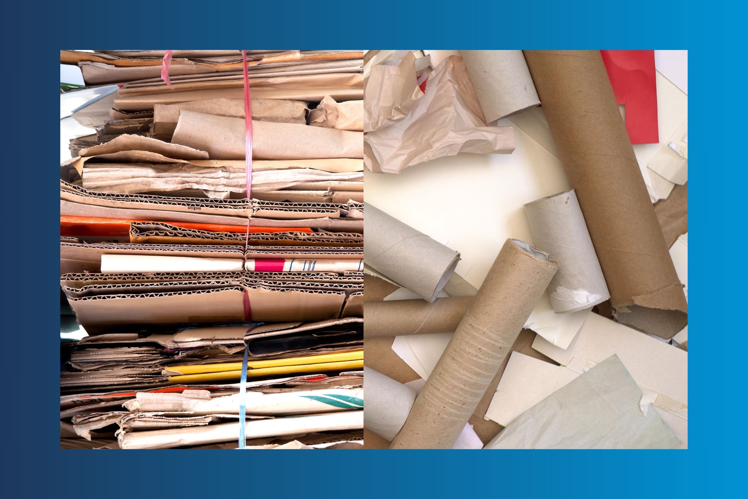cardboard and paper waste & recycling collections