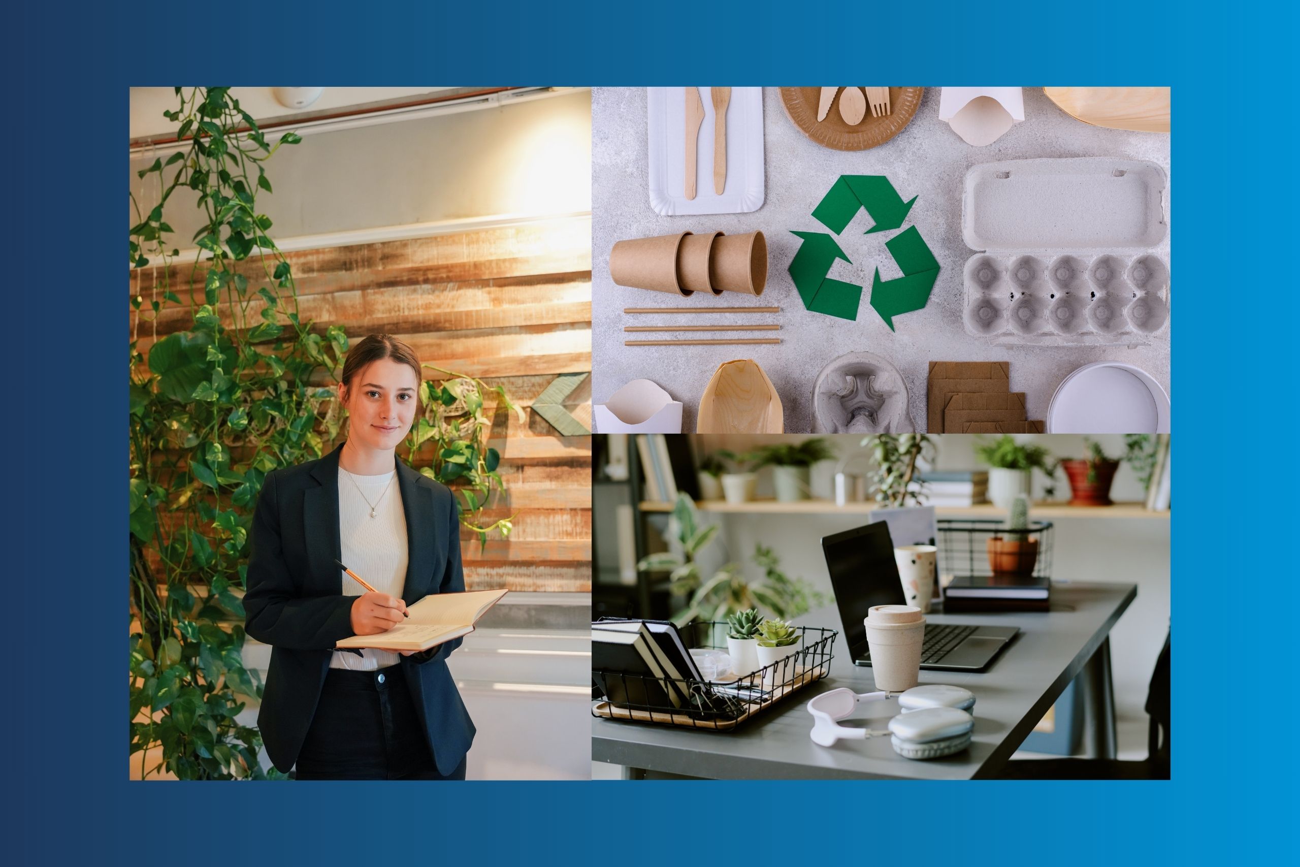 eco-friendly office