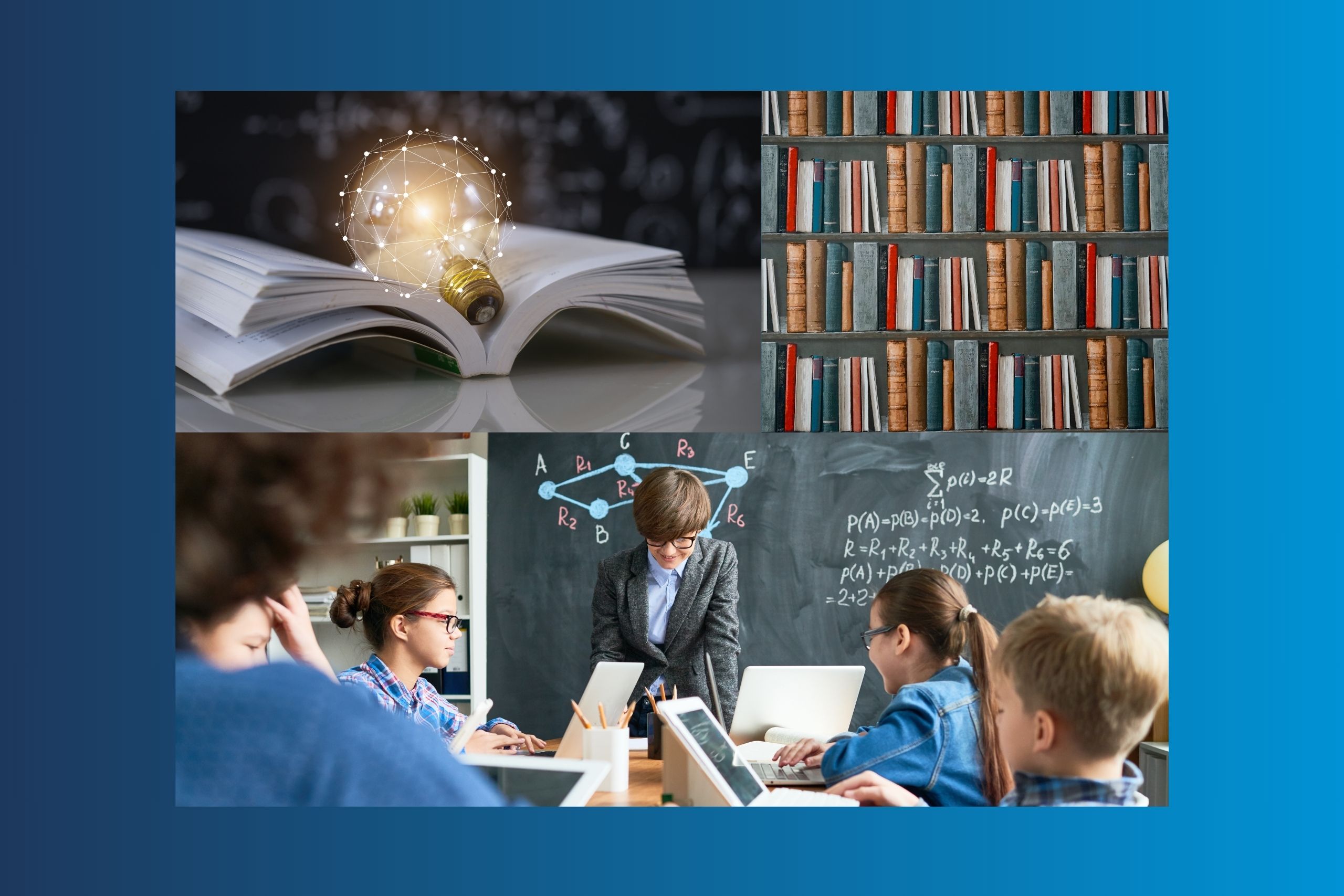 education sectors