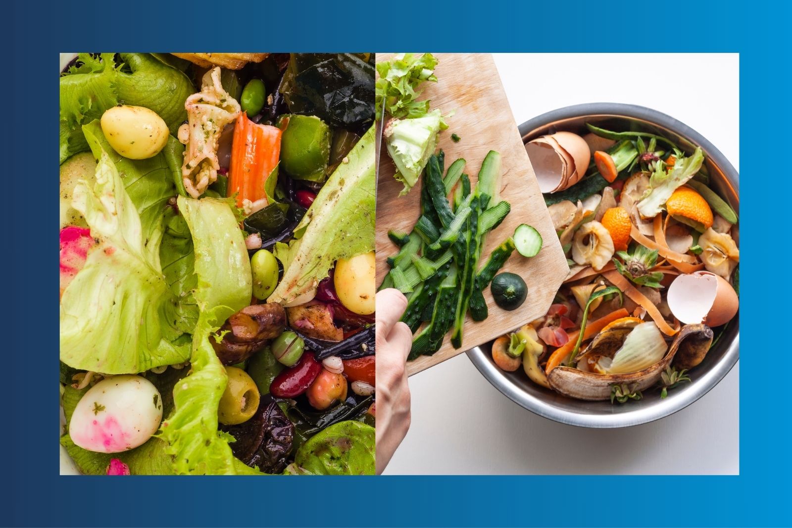 food waste management & recycling collections