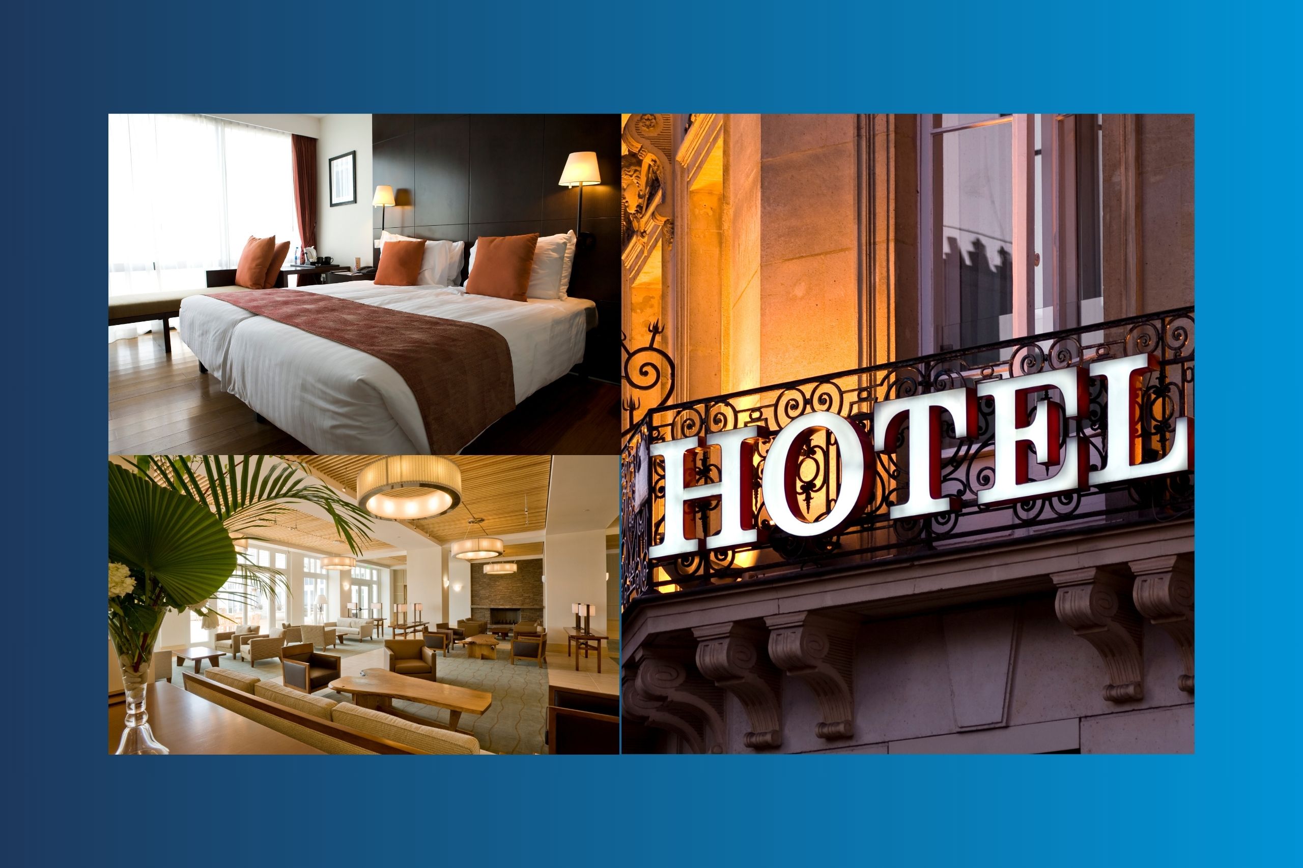 hospitality and accommodation sectors