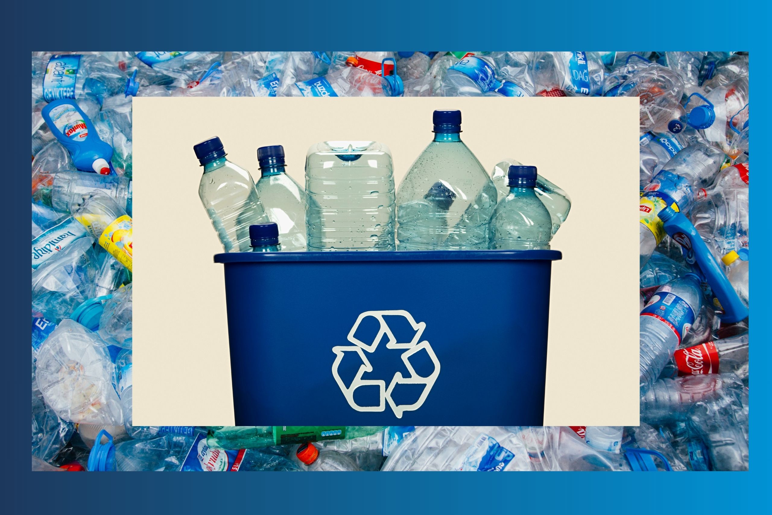 image of a plastic bottle being taken to a plastic waste recycling facility