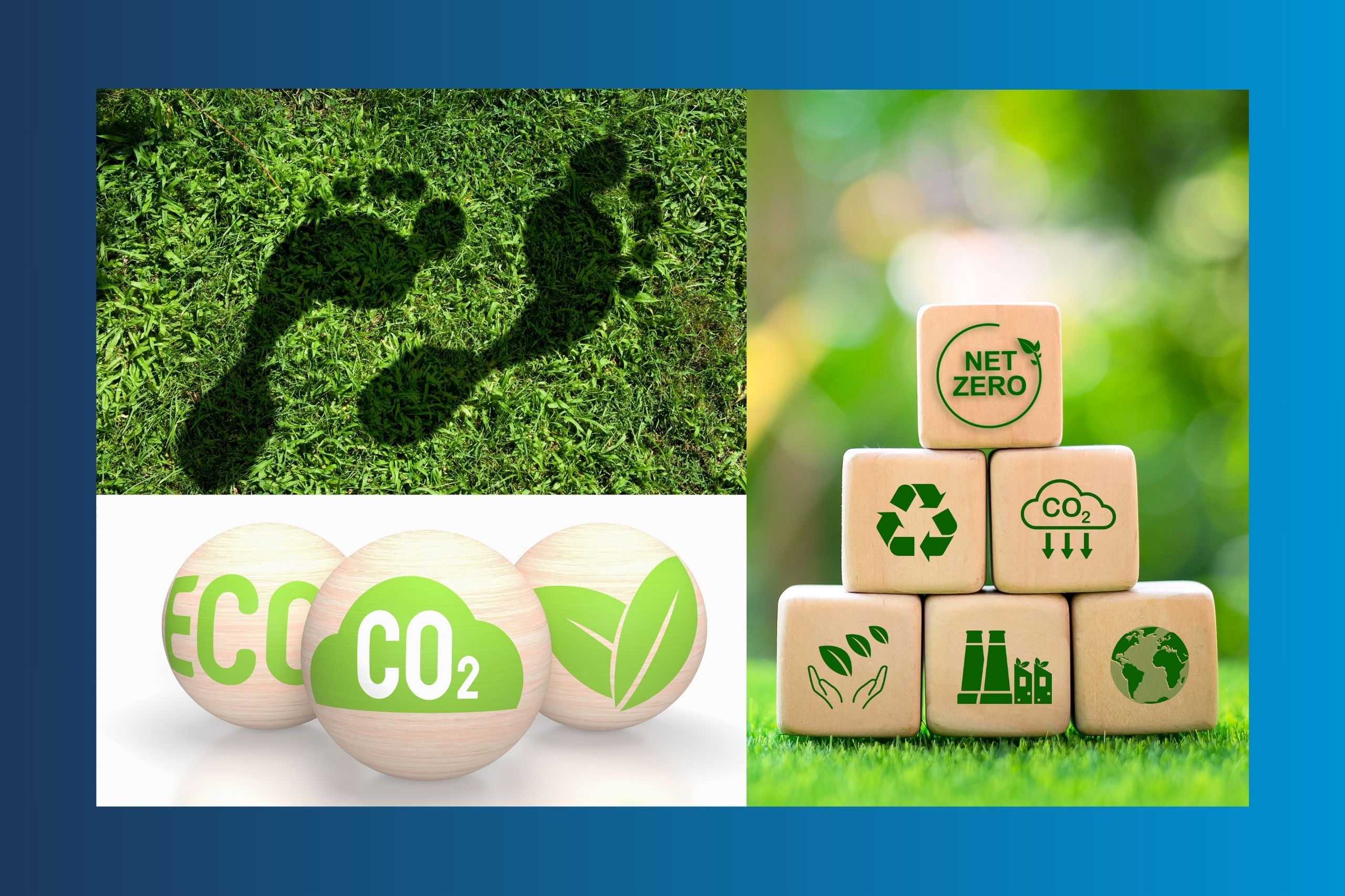 reduce carbon footprint