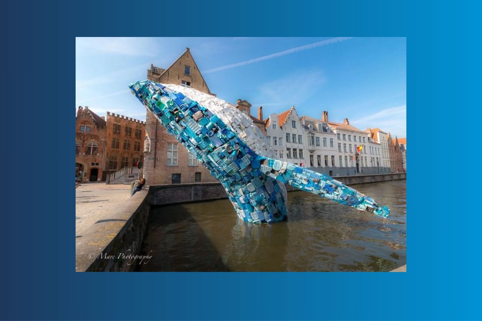 reduce single-use plastic in a business